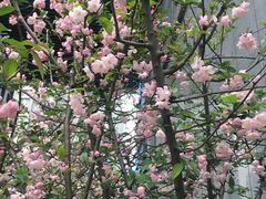 -红钳侠小龙虾·烧烤(中赢康康谷店)