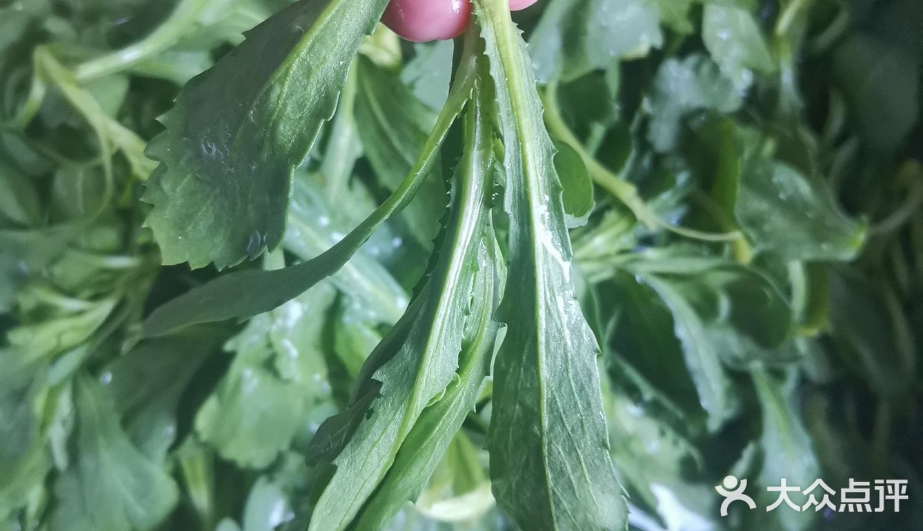 这是什么菜
