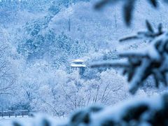 -九如山休闲旅游度假区
