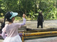 -贵州森林野生动物园