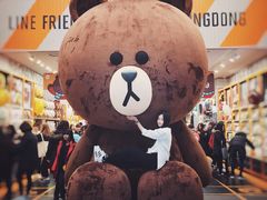 -line friends(明洞旗舰店)