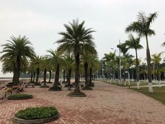-南沙天后宫景区