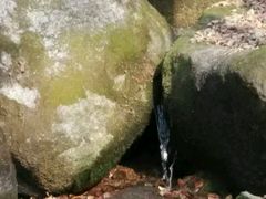 -三块石国家森林公园
