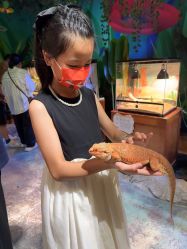 -酷嗒动物文化乐园(cutezoo西溪乐天城店)