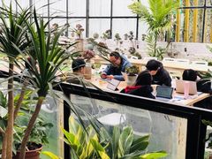 -三圣花乡旅游区