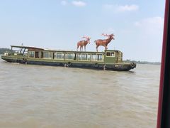 -溱湖国家湿地公园