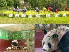 -杭州野生动物世界