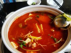 酸汤豆米火锅-黔府豆米火锅野菜馆(南马店)