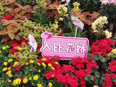 -万顷园艺世界