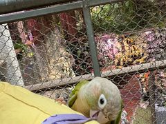 -正佳雨林生态植物园