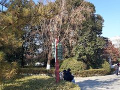 -云龙山
