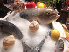 -广州富力君悦大酒店·凯菲厅