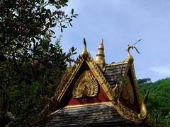 -西双版纳原始森林公园