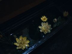 -素可汤泉(天宝大厦店)