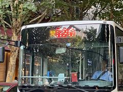 -重庆巴渝火锅(钟家村店)