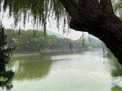 -石家庄市动物园