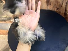 -宠物世家(仲盛世界商城店)