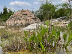 -云漫湖生态度假公园