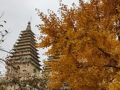 -北京石刻艺术博物馆(五塔寺)