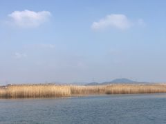 -苏州太湖湖滨国家湿地公园