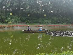 -广州长隆飞鸟乐园