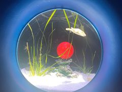 -欢乐海岸海洋奇梦馆
