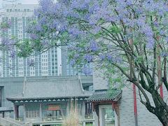 -龙潭水乡