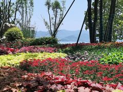 -东钱湖旅游度假区