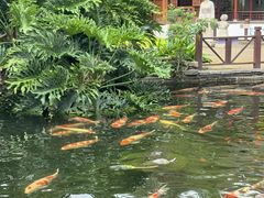 -香麒园·过桥米线·南湖雅宴
