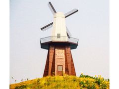 -金卉庄园