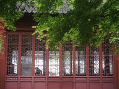 -上海醉白池公园