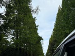 -黄海国家森林公园