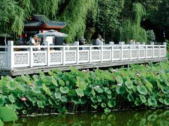 -成都市文化公园