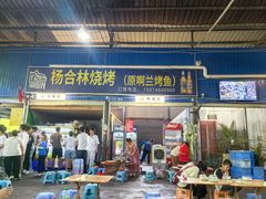 -杨合林啊兰烤鱼
