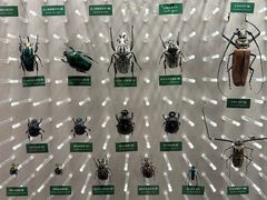 -国家自然博物馆