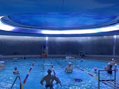 -小海豚国际游泳培训中心(浦东塘桥店)