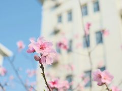 -东南大学(九龙湖校区)