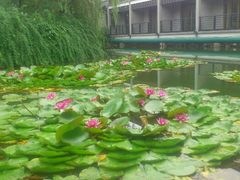 -君澜·绍兴鉴湖大酒店