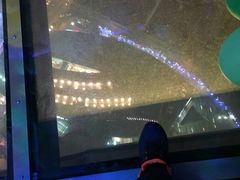 -339旋转餐厅(天府熊猫塔店)