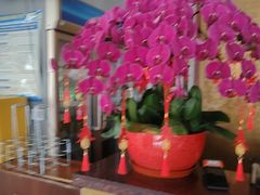 -全聚德烤鸭店(马家堡店)
