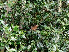 -敬亭山风景名胜区