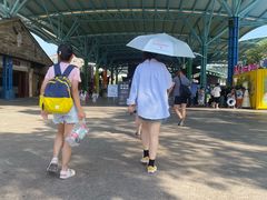 -杭州浪浪浪水公园