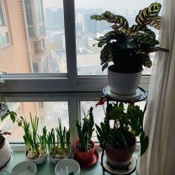 -梵未理疗瑜伽工作室