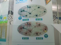 -博沃思·专注力·心理咨询·家庭教育(世豪中心)