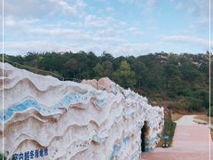 -广东惠东海龟国家级自然保护区