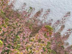 -中国天府农业博览园