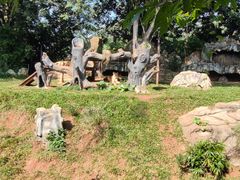 -海南热带野生动植物园