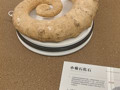 -天津古林古海岸遗迹博物馆