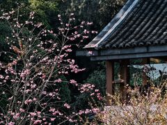 -腾冲和顺柏联酒店
