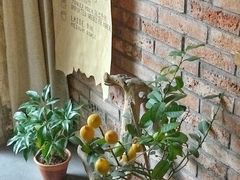 -春庄咖啡SpringHues(钟楼小区店)